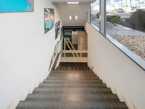 Pronájem obchodního prostoru, Plzeň, Jateční, 407 m2