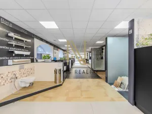 Pronájem obchodního prostoru, Plzeň, Jateční, 407 m2