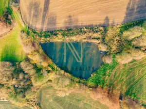 Prodej rybníku, Týnec, 2713 m2