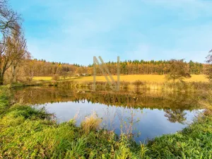 Prodej rybníku, Týnec, 2713 m2