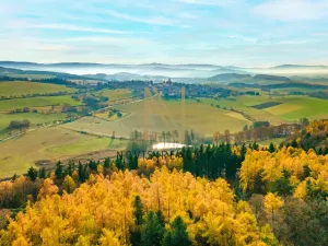 Prodej rybníku, Týnec, 2713 m2