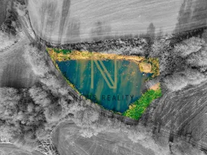 Prodej rybníku, Týnec, 2713 m2