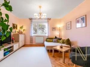 Prodej rodinného domu, Plzeň, Pod Lesem, 250 m2