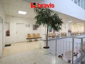 Pronájem ordinace, Brno - Žabovřesky, Makovského náměstí, 74 m2