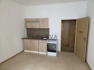 Pronájem bytu 1+kk, Plzeň - Jižní Předměstí, Havlíčkova, 29 m2