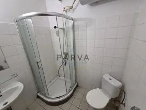 Pronájem bytu 1+kk, Plzeň - Jižní Předměstí, Havlíčkova, 29 m2