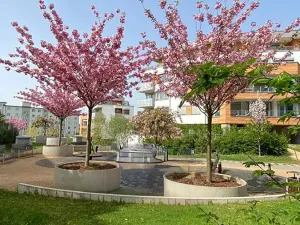 Pronájem bytu 2+kk, Praha - Hloubětín, Krylovecká, 55 m2