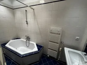 Pronájem bytu 2+kk, Praha - Vinohrady, Mánesova, 91 m2