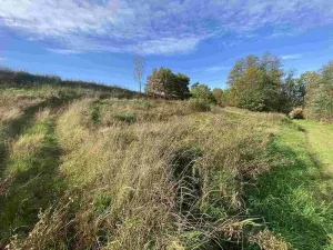 Prodej pole, Svijany, 1263 m2