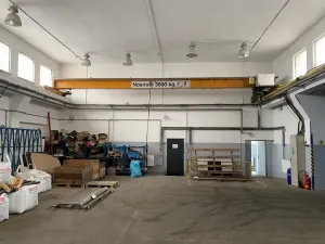 Pronájem výrobních prostor, Ústí nad Labem, U Tonasa, 1248 m2