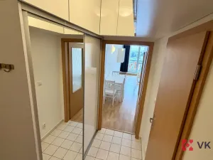 Pronájem bytu 1+kk, Praha - Řeporyje, Wiesenthalova, 38 m2