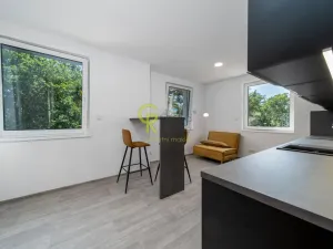 Prodej bytu 3+kk, Skorkov - Otradovice, 55 m2