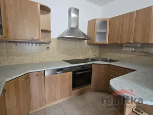 Pronájem bytu 3+kk, Opava, Bílovecká, 120 m2