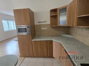 Pronájem bytu 3+kk, Opava, Bílovecká, 120 m2