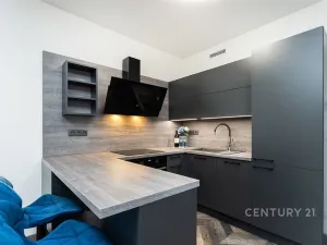 Pronájem bytu 1+kk, Praha, Kolbenova, 30 m2