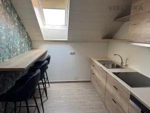 Pronájem ubytování, Slavonice, Nádražní, 220 m2