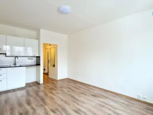 Pronájem bytu 1+kk, Praha - Záběhlice, Narcisová, 25 m2