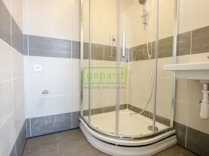 Pronájem bytu 1+1, Brno, Palackého třída, 39 m2