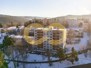 Prodej bytu 1+1, Větřní, Šumavská, 40 m2