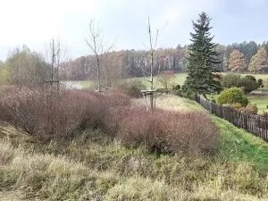 Prodej pozemku, Lázně Bělohrad, 1005 m2