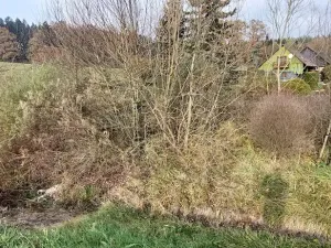 Prodej pozemku, Lázně Bělohrad, 1005 m2