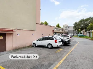 Pronájem bytu 3+kk, Praha - Žižkov, U kněžské louky, 67 m2