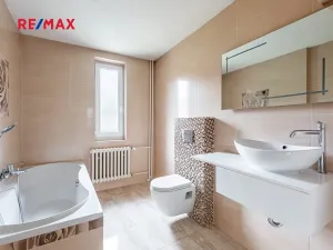 Prodej komerční nemovitosti, Měchenice, Hlavní, 330 m2