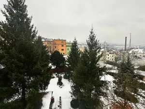 Pronájem bytu 2+1, Děčín, El. Krásnohorské, 47 m2