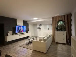 Pronájem bytu 3+kk, Plzeň, U Velkého rybníka, 104 m2
