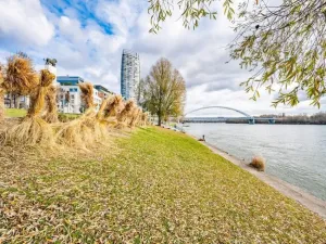 Prodej bytu 2+kk, Praha - Vinohrady, Polská, 61 m2