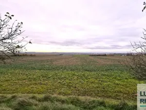 Prodej pole, Mělník, Kokořínská, 27040 m2