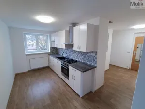 Pronájem bytu 2+1, Most, Prokopa Holého, 50 m2