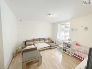 Prodej bytu 1+1, Most, tř. Budovatelů, 36 m2