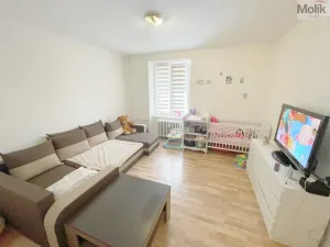 Prodej bytu 1+1, Most, tř. Budovatelů, 36 m2