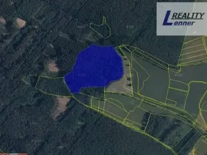 Prodej lesa, Nečín, 59470 m2