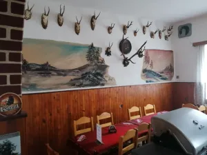 Pronájem restaurace, Opolany - Kanín, 100 m2