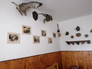 Pronájem restaurace, Opolany - Kanín, 100 m2