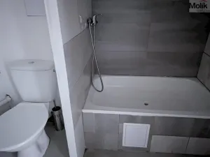 Pronájem bytu 1+kk, Bílina - Pražské Předměstí, Aléská, 28 m2