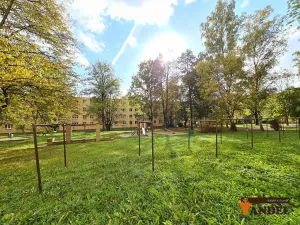 Pronájem bytu 1+1, Havířov, Okrajová, 35 m2