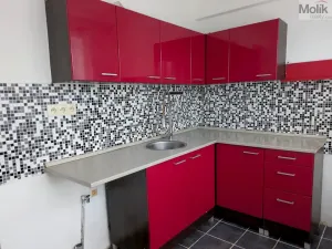 Pronájem bytu 2+1, Bílina - Teplické Předměstí, M. Švabinského, 56 m2