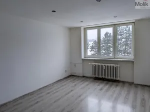 Pronájem bytu 2+1, Bílina - Teplické Předměstí, M. Švabinského, 56 m2