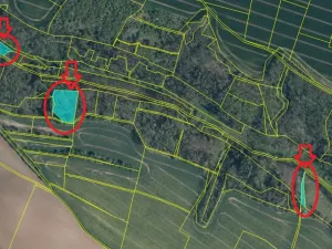 Prodej lesa, Mělnické Vtelno, 4059 m2