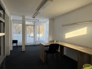 Pronájem obchodního prostoru, Kroměříž, Alšova, 65 m2