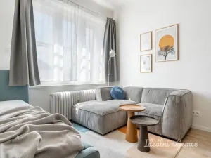 Pronájem bytu 1+kk, Praha - Nusle, U křížku, 28 m2