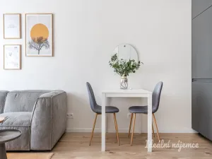 Pronájem bytu 1+kk, Praha - Nusle, U křížku, 28 m2