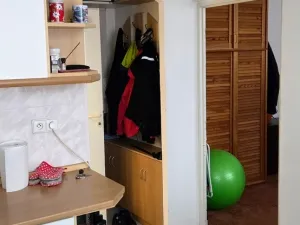 Pronájem bytu 1+1, Jihlava, Březinova, 32 m2