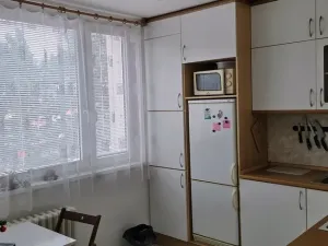 Pronájem bytu 1+1, Jihlava, Březinova, 32 m2