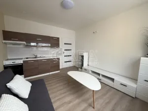 Pronájem bytu 1+kk, Jablonec nad Nisou, Budovatelů, 22 m2