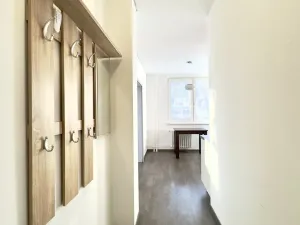 Prodej bytu 1+1, Hodonín, Velkomoravská, 32 m2