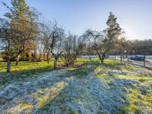 Prodej pozemku pro bydlení, Druztová, 1314 m2